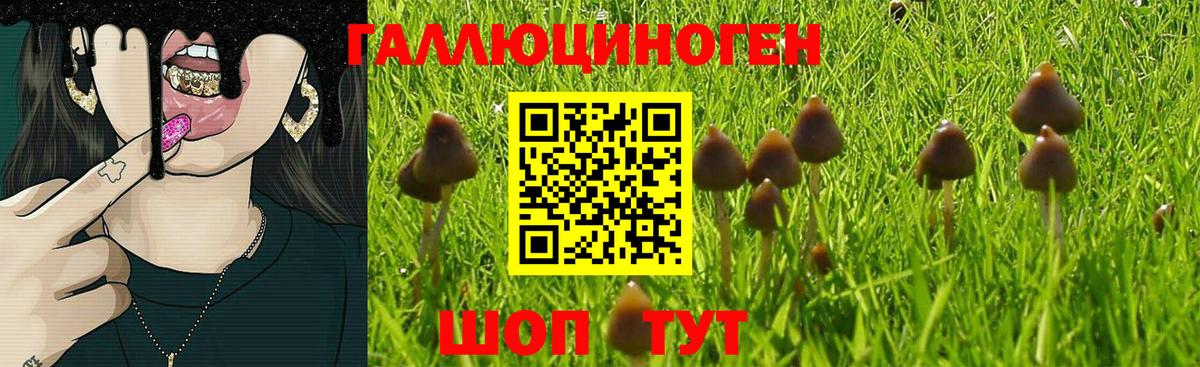 Псилоцибиновые грибы MAGIC MUSHROOMS Новокуйбышевск
