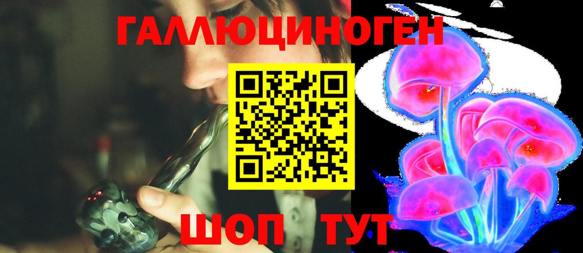 Новокуйбышевск  Галлюциногенные грибы MAGIC MUSHROOMS  Вход с VPN 